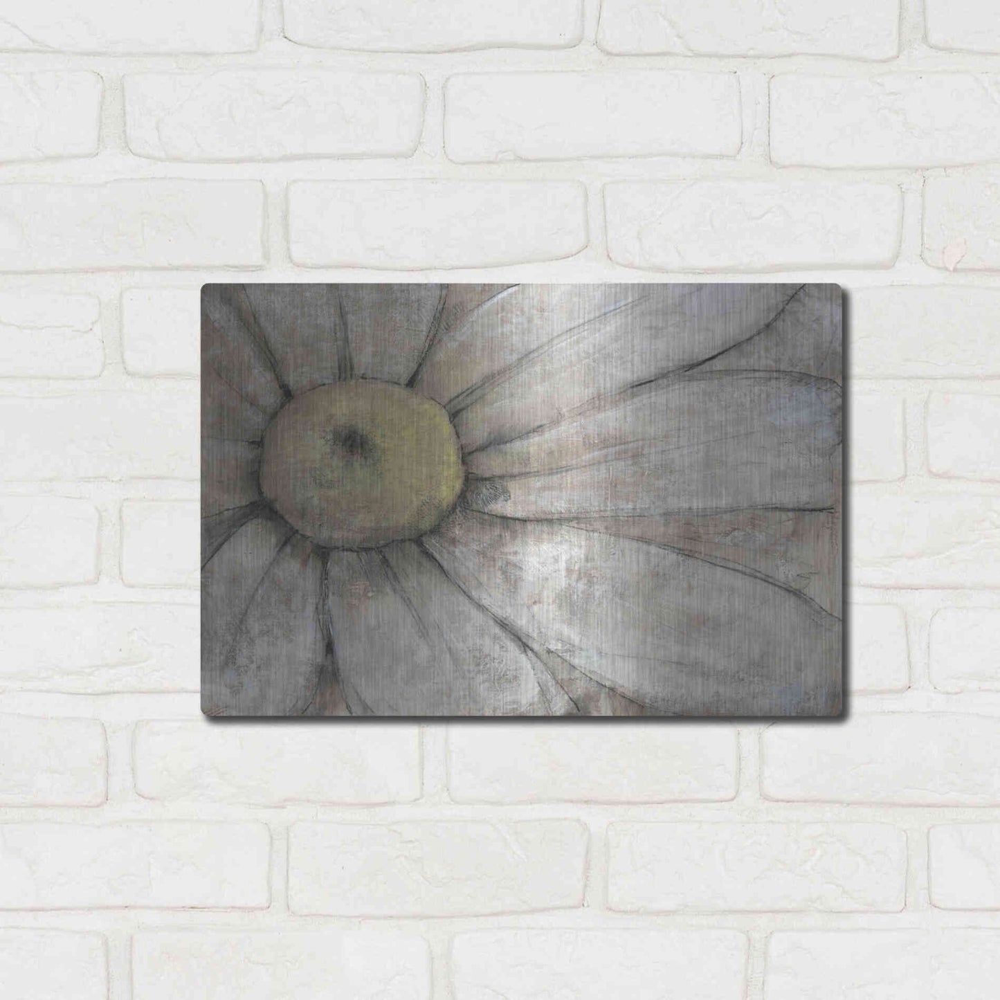 Luxe Metal Art 'Close-Up Daisy I' by Tim O'Toole, Metal Wall Art,16x12