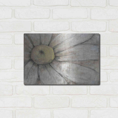 Luxe Metal Art 'Close-Up Daisy I' by Tim O'Toole, Metal Wall Art,16x12