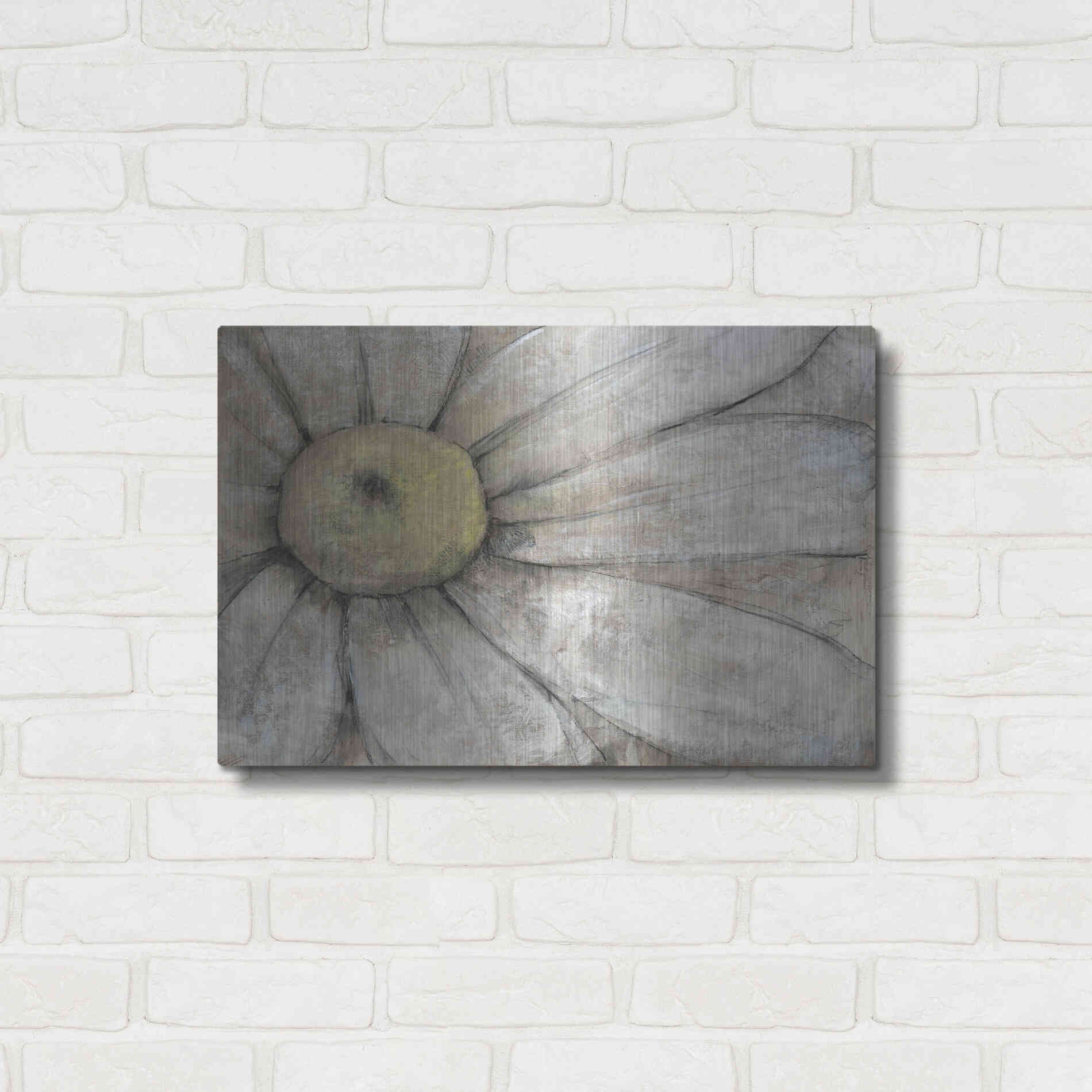 Luxe Metal Art 'Close-Up Daisy I' by Tim O'Toole, Metal Wall Art,24x16