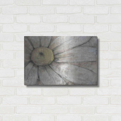Luxe Metal Art 'Close-Up Daisy I' by Tim O'Toole, Metal Wall Art,24x16