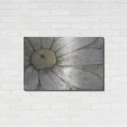 Luxe Metal Art 'Close-Up Daisy I' by Tim O'Toole, Metal Wall Art,36x24