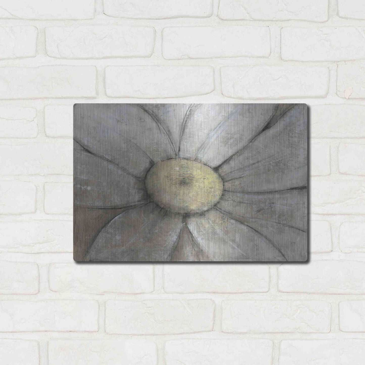 Luxe Metal Art 'Close-Up Daisy II' by Tim O'Toole, Metal Wall Art,16x12