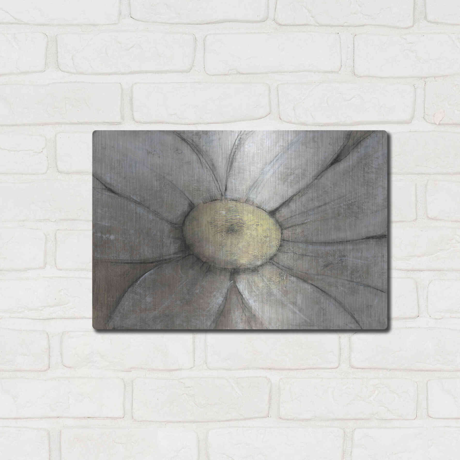 Luxe Metal Art 'Close-Up Daisy II' by Tim O'Toole, Metal Wall Art,16x12