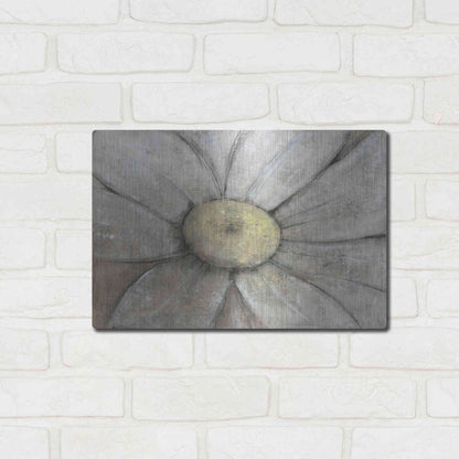 Luxe Metal Art 'Close-Up Daisy II' by Tim O'Toole, Metal Wall Art,16x12