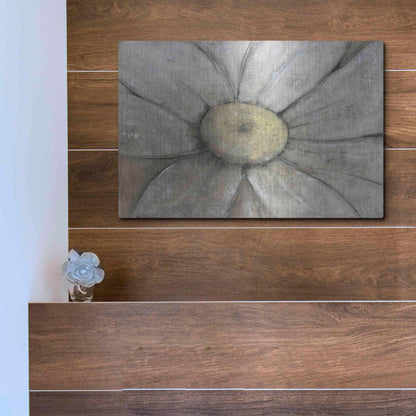 Luxe Metal Art 'Close-Up Daisy II' by Tim O'Toole, Metal Wall Art,16x12