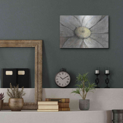 Luxe Metal Art 'Close-Up Daisy II' by Tim O'Toole, Metal Wall Art,16x12