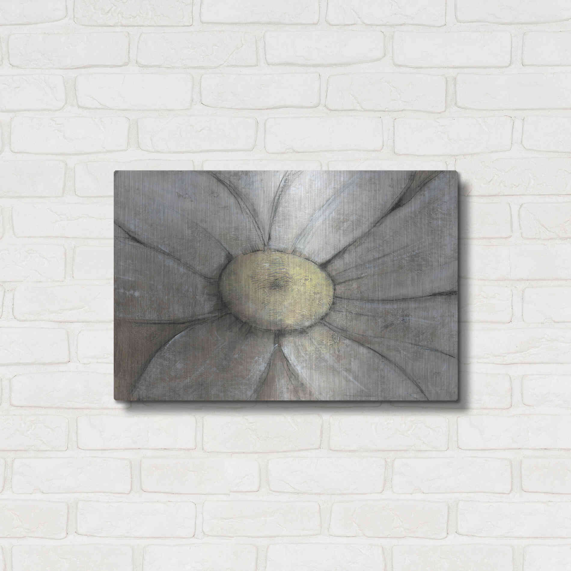 Luxe Metal Art 'Close-Up Daisy II' by Tim O'Toole, Metal Wall Art,24x16