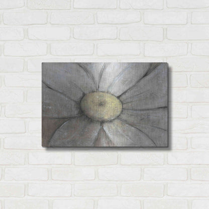 Luxe Metal Art 'Close-Up Daisy II' by Tim O'Toole, Metal Wall Art,24x16