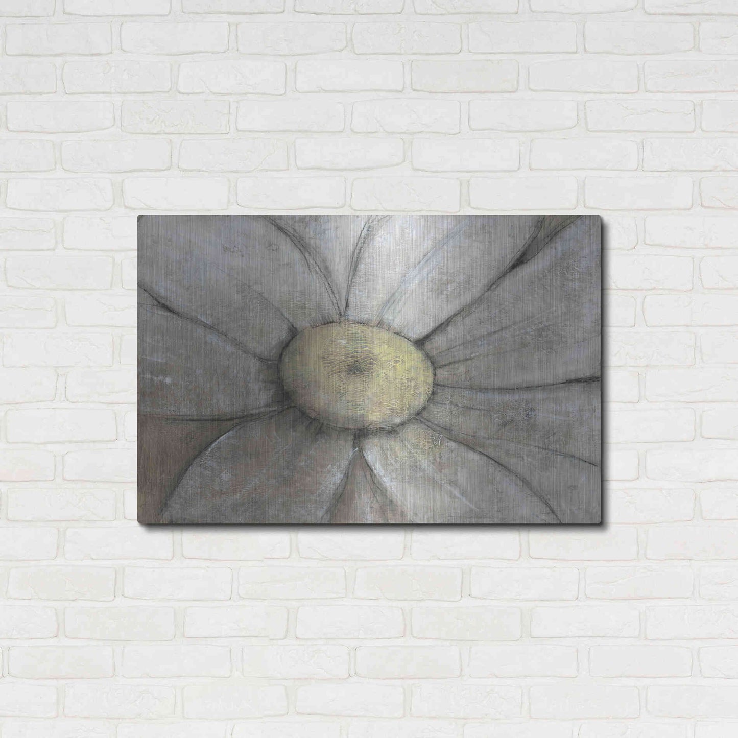 Luxe Metal Art 'Close-Up Daisy II' by Tim O'Toole, Metal Wall Art,36x24