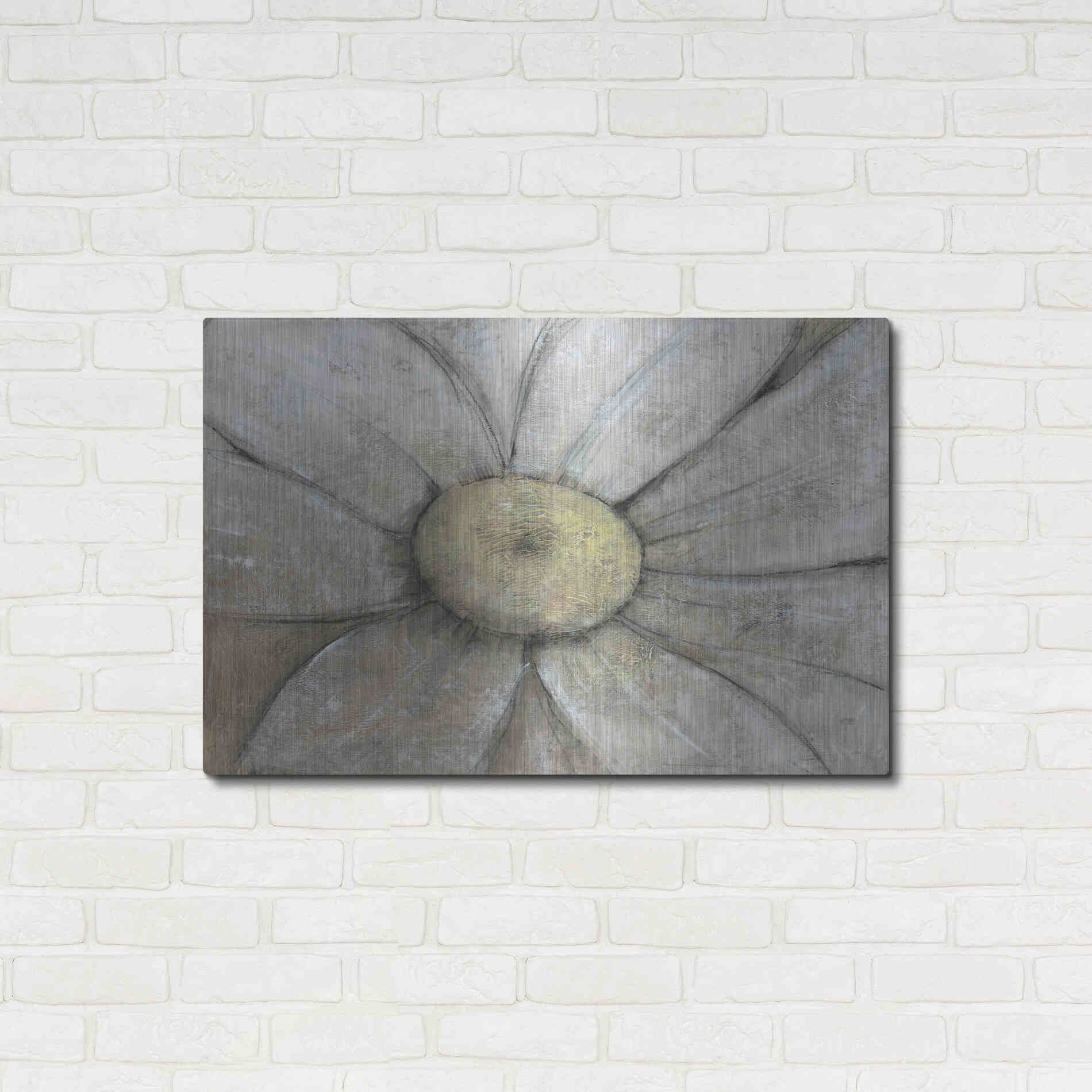 Luxe Metal Art 'Close-Up Daisy II' by Tim O'Toole, Metal Wall Art,36x24
