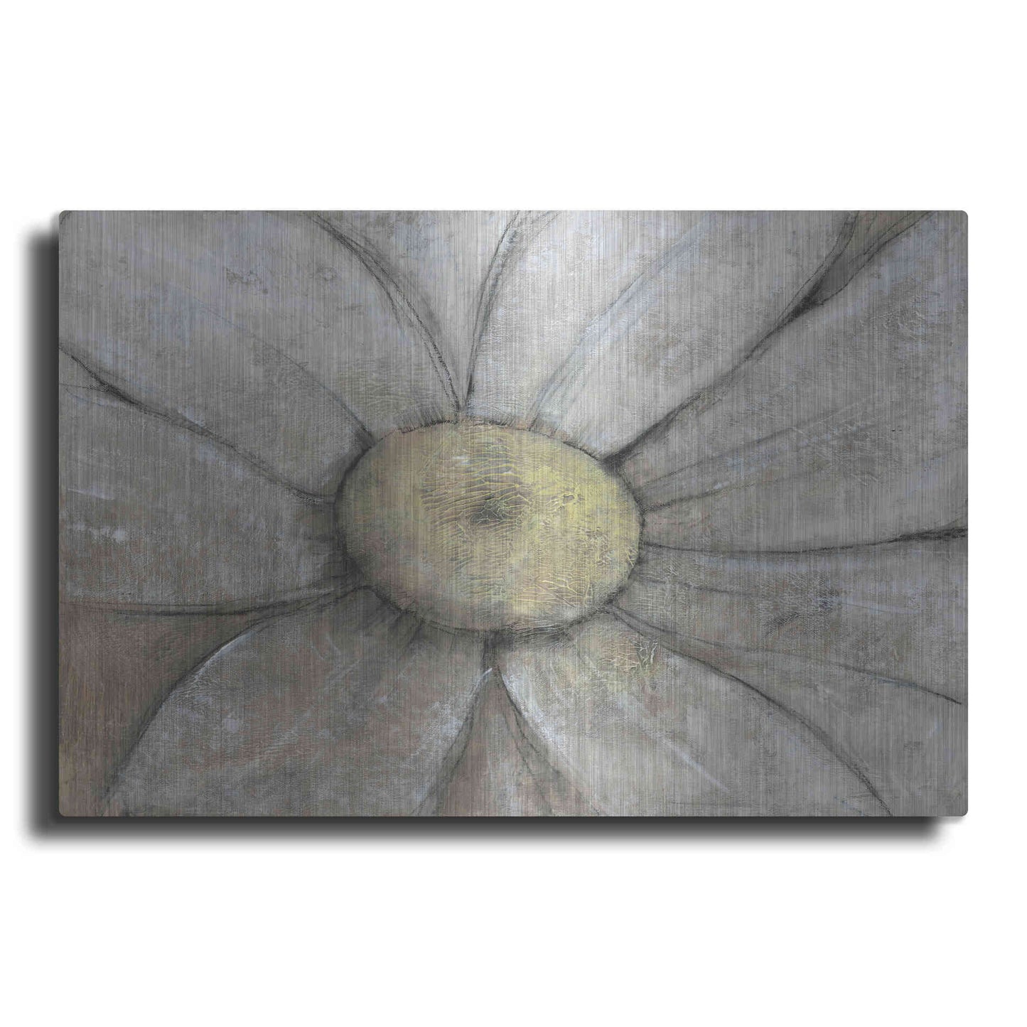 Luxe Metal Art 'Close-Up Daisy II' by Tim O'Toole, Metal Wall Art