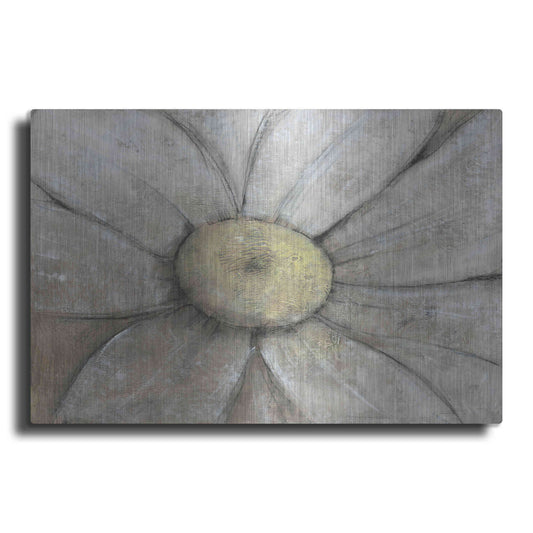 Luxe Metal Art 'Close-Up Daisy II' by Tim O'Toole, Metal Wall Art