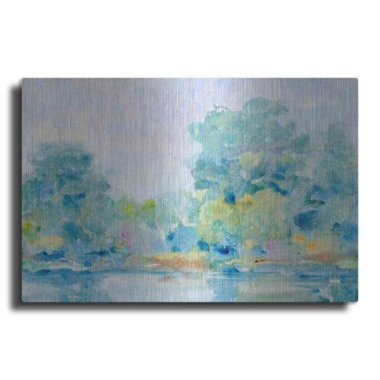 Luxe Metal Art 'Quiet Morning II' by Tim O'Toole, Metal Wall Art