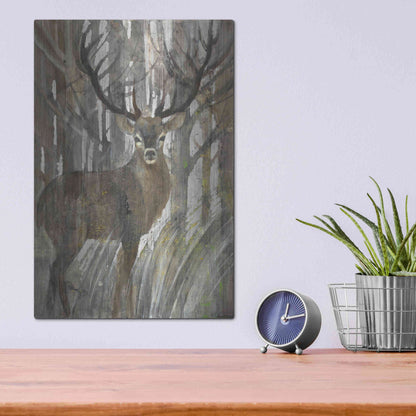 Luxe Metal Art 'The Guardian' by Albena Hristova, Metal Wall Art,12x16
