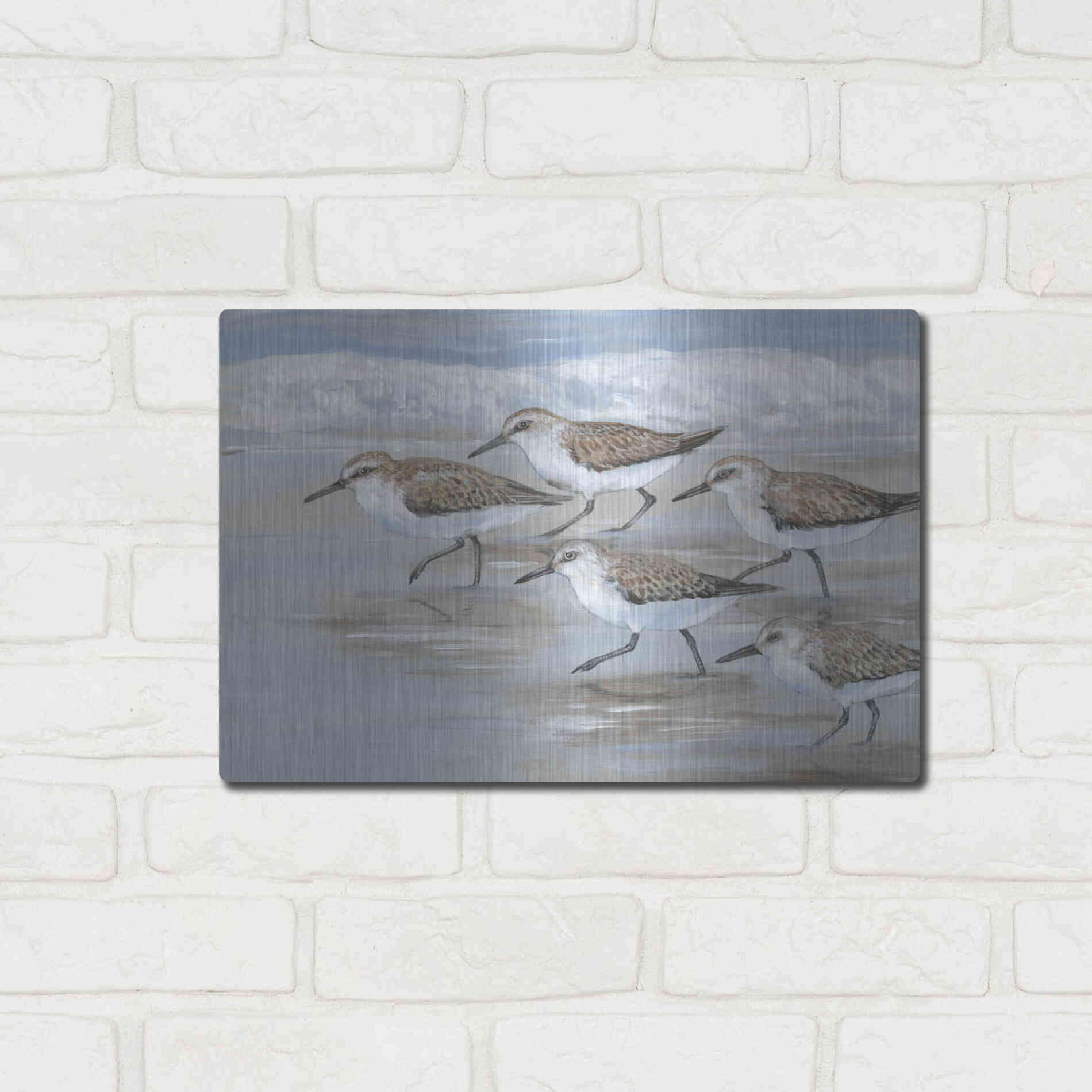 Luxe Metal Art 'Sandpipers I' by Tim O'Toole, Metal Wall Art,16x12