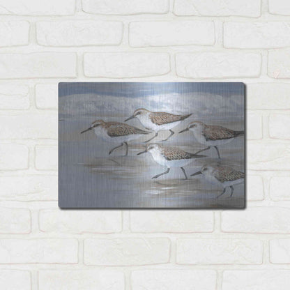 Luxe Metal Art 'Sandpipers I' by Tim O'Toole, Metal Wall Art,16x12
