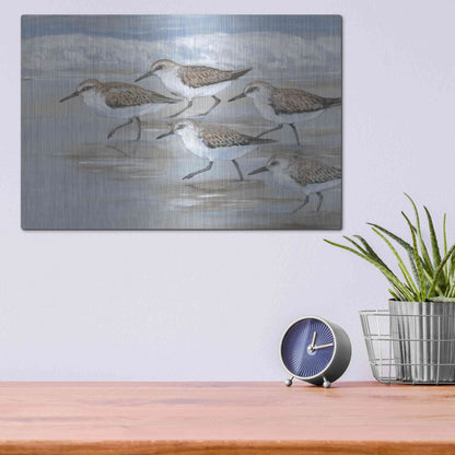Luxe Metal Art 'Sandpipers I' by Tim O'Toole, Metal Wall Art,16x12