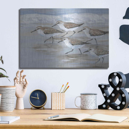 Luxe Metal Art 'Sandpipers I' by Tim O'Toole, Metal Wall Art,16x12