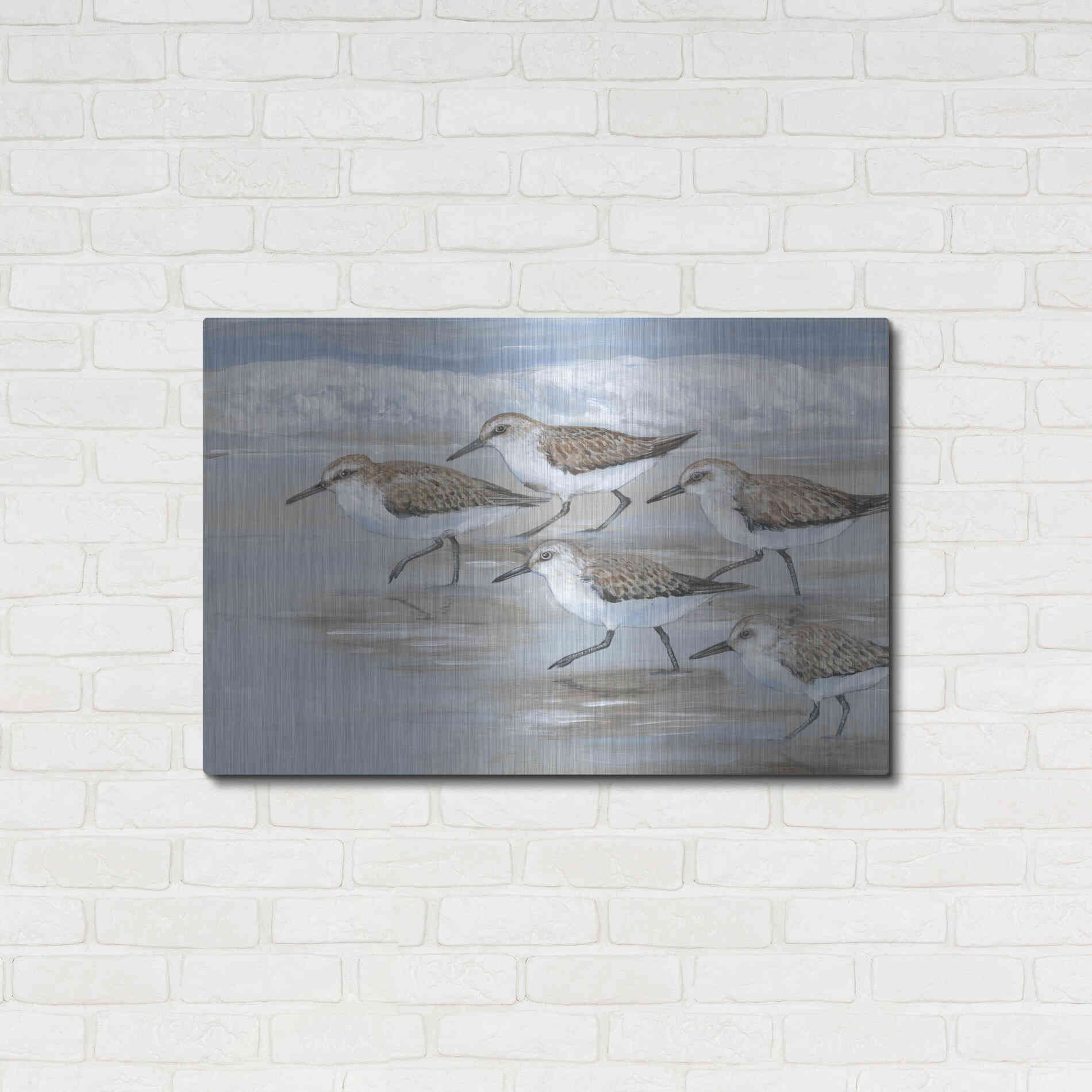 Luxe Metal Art 'Sandpipers I' by Tim O'Toole, Metal Wall Art,36x24