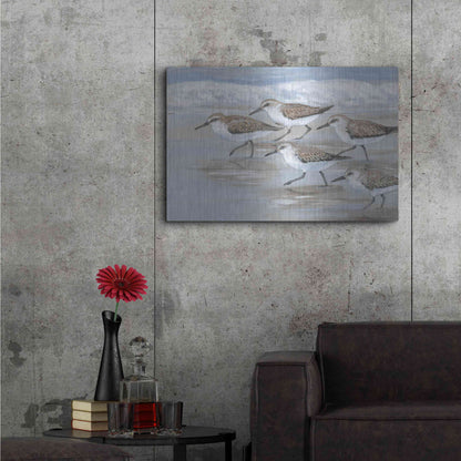 Luxe Metal Art 'Sandpipers I' by Tim O'Toole, Metal Wall Art,36x24