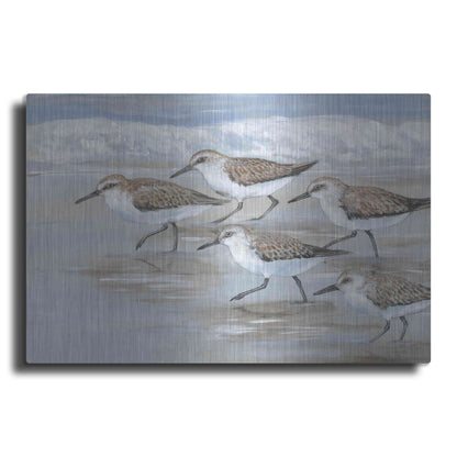 Luxe Metal Art 'Sandpipers I' by Tim O'Toole, Metal Wall Art