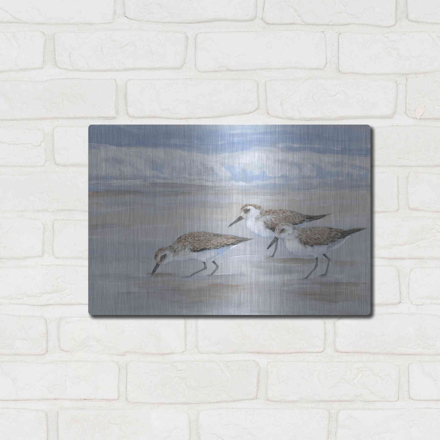 Luxe Metal Art 'Sandpipers II' by Tim O'Toole, Metal Wall Art,16x12