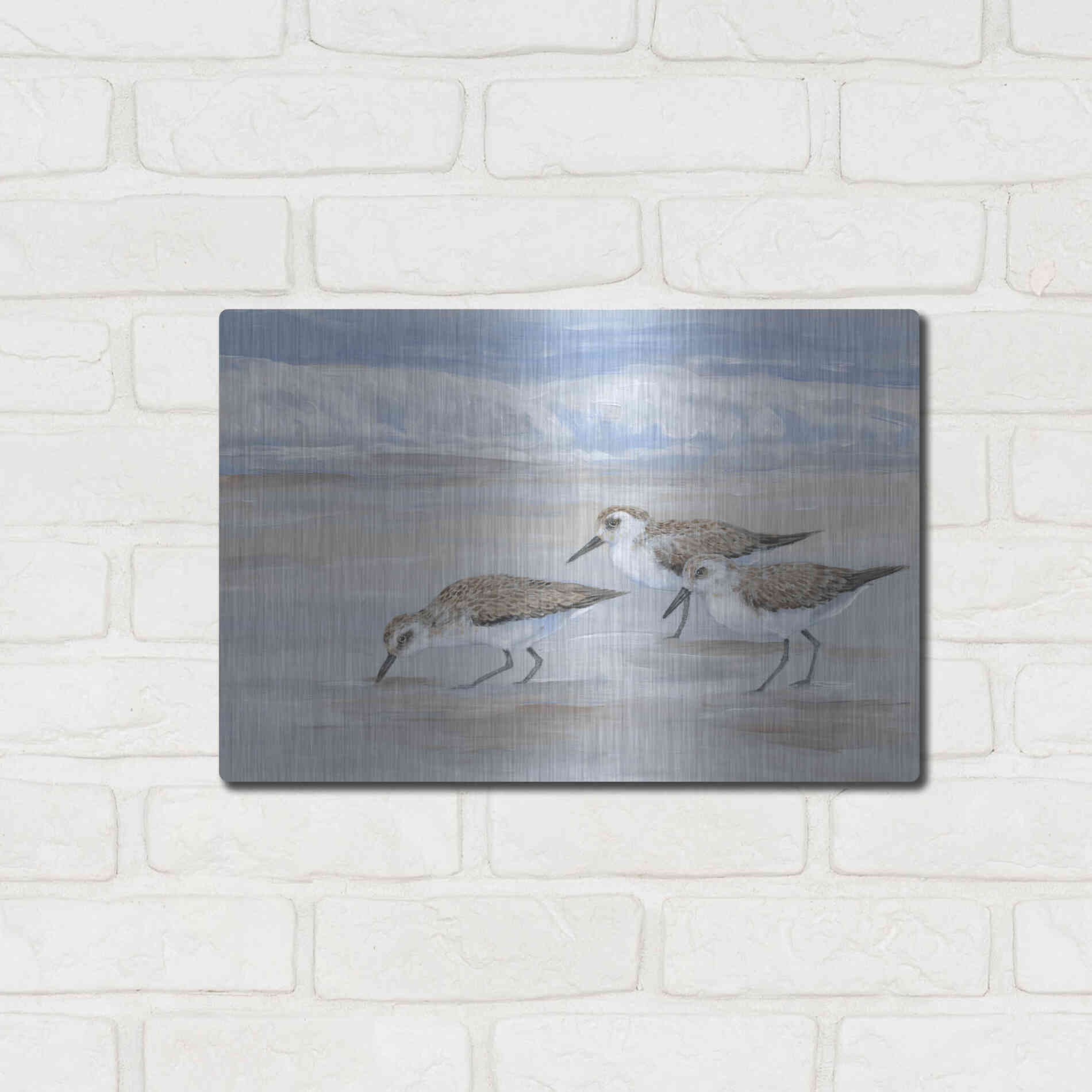 Luxe Metal Art 'Sandpipers II' by Tim O'Toole, Metal Wall Art,16x12