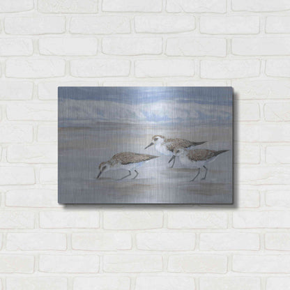 Luxe Metal Art 'Sandpipers II' by Tim O'Toole, Metal Wall Art,24x16