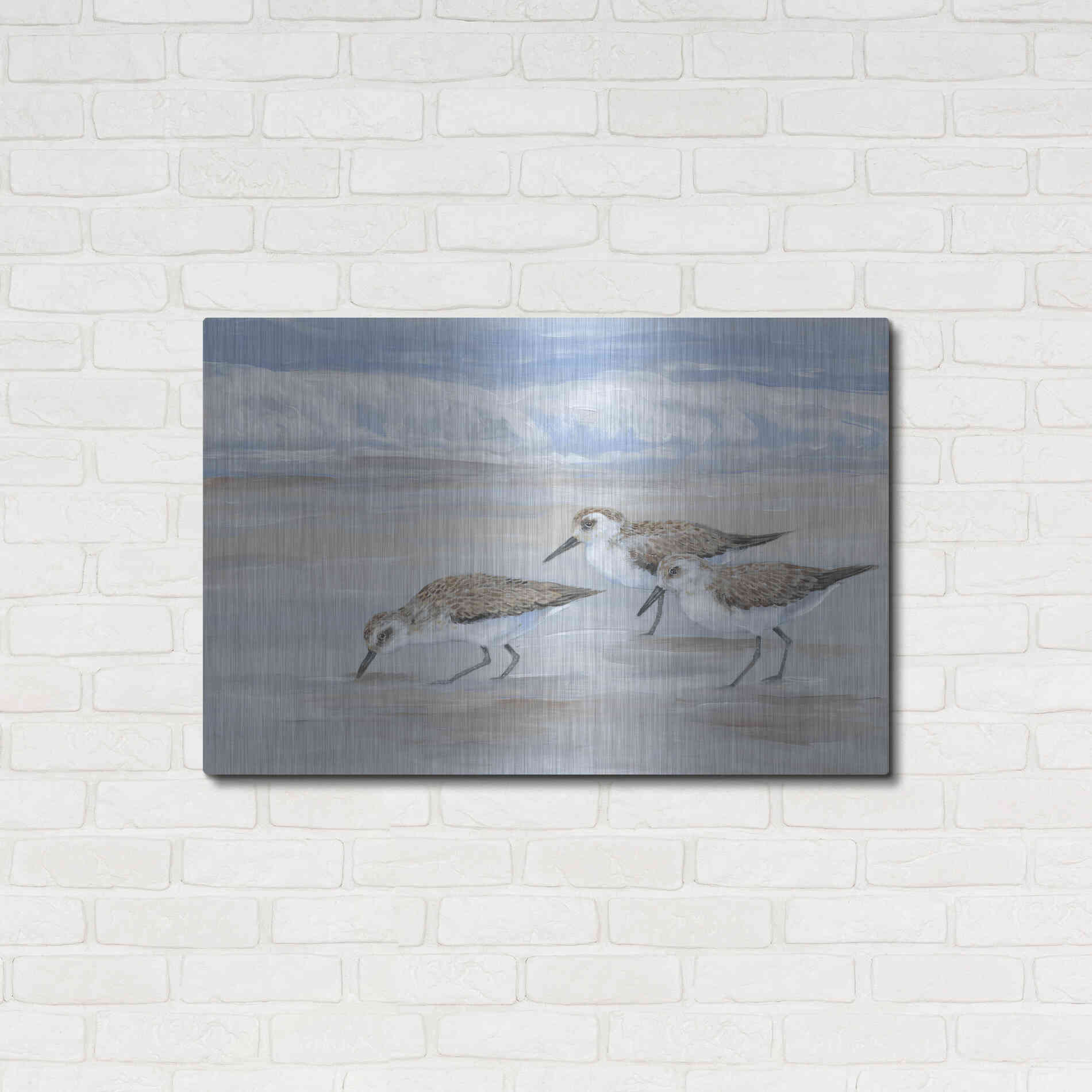 Luxe Metal Art 'Sandpipers II' by Tim O'Toole, Metal Wall Art,36x24