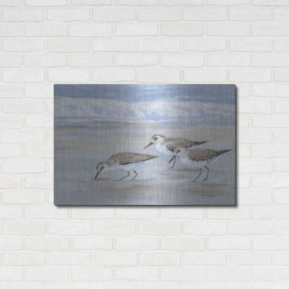 Luxe Metal Art 'Sandpipers II' by Tim O'Toole, Metal Wall Art,36x24