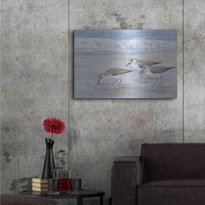 Luxe Metal Art 'Sandpipers II' by Tim O'Toole, Metal Wall Art,36x24