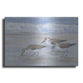 Luxe Metal Art 'Sandpipers II' by Tim O'Toole, Metal Wall Art