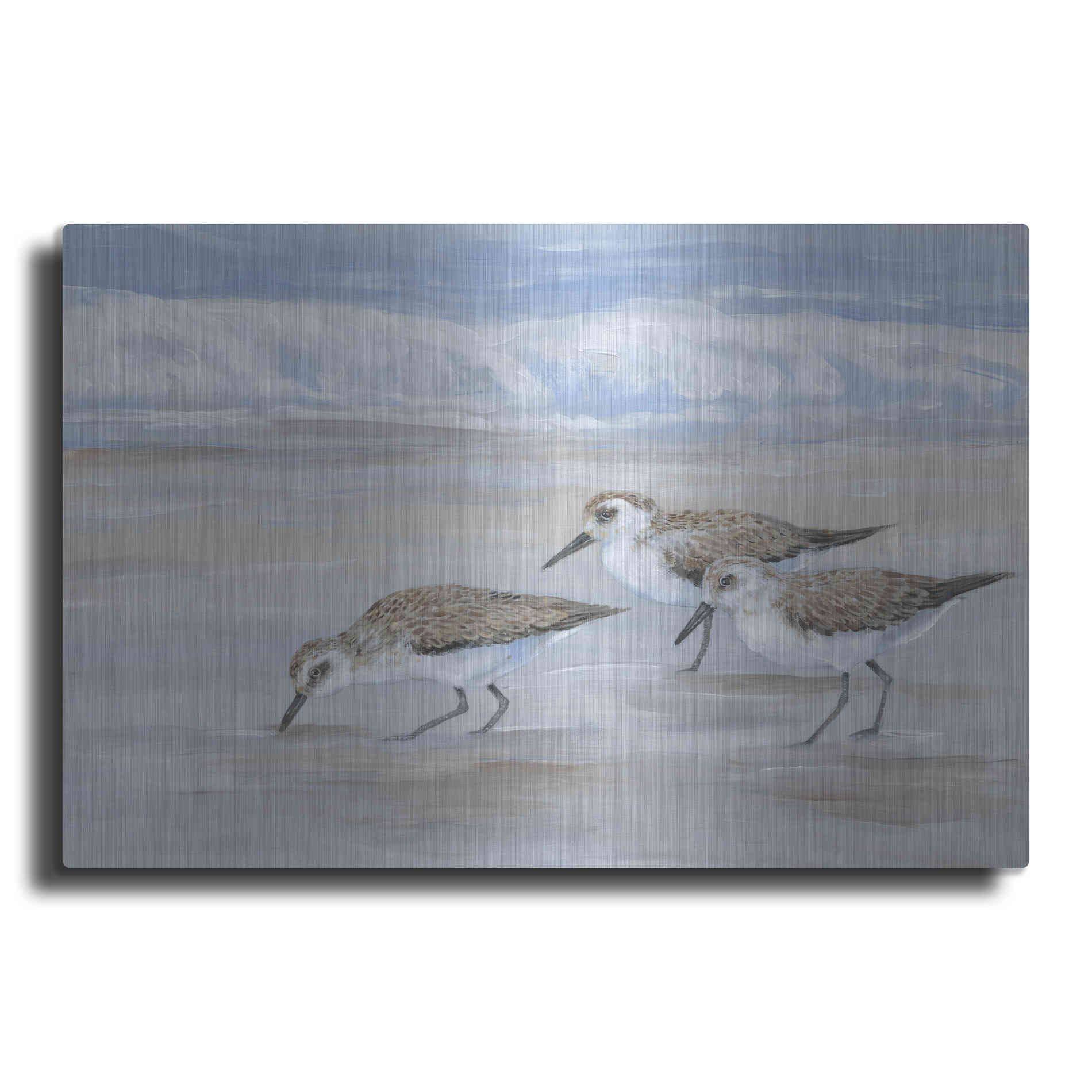 Luxe Metal Art 'Sandpipers II' by Tim O'Toole, Metal Wall Art