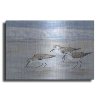 Luxe Metal Art 'Sandpipers II' by Tim O'Toole, Metal Wall Art