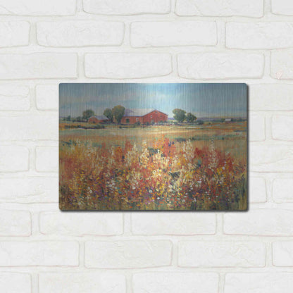 Luxe Metal Art 'Country View II' by Tim O'Toole, Metal Wall Art,16x12