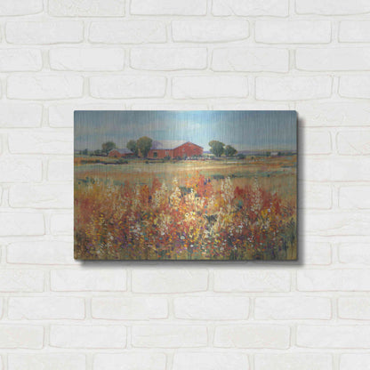 Luxe Metal Art 'Country View II' by Tim O'Toole, Metal Wall Art,24x16