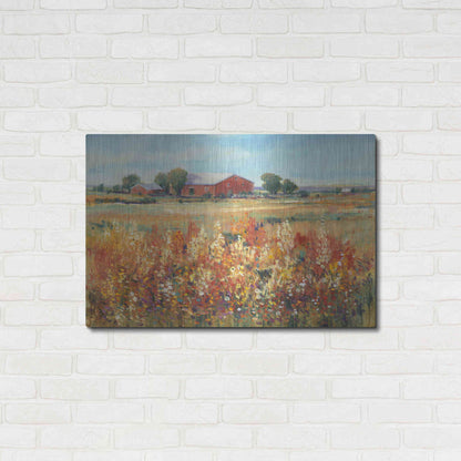 Luxe Metal Art 'Country View II' by Tim O'Toole, Metal Wall Art,36x24