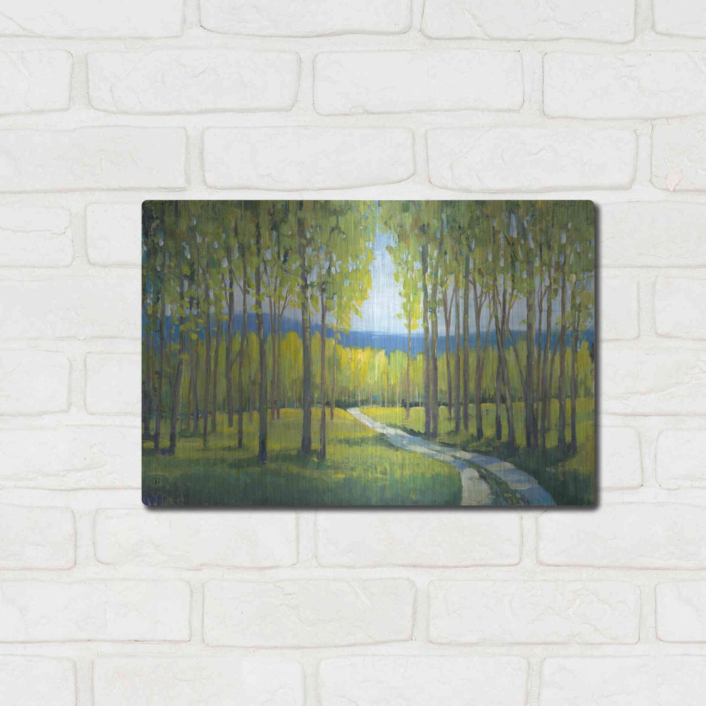 Luxe Metal Art 'Morning Stroll I' by Tim O'Toole, Metal Wall Art,16x12