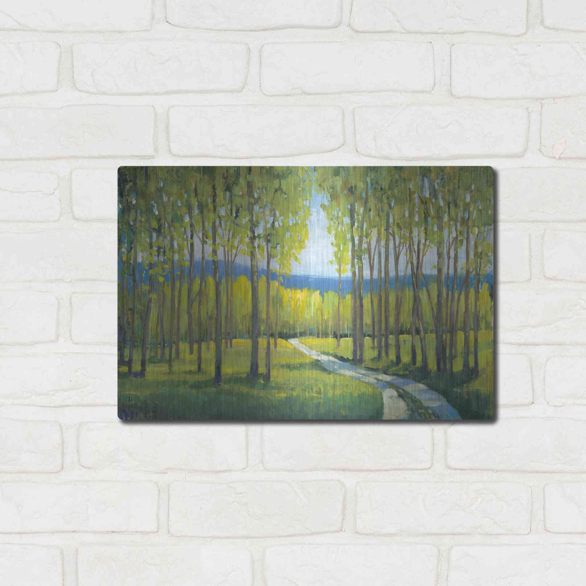 Luxe Metal Art 'Morning Stroll I' by Tim O'Toole, Metal Wall Art,16x12