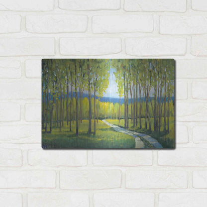 Luxe Metal Art 'Morning Stroll I' by Tim O'Toole, Metal Wall Art,16x12