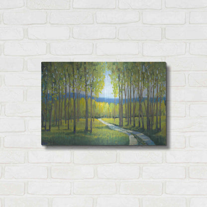 Luxe Metal Art 'Morning Stroll I' by Tim O'Toole, Metal Wall Art,24x16