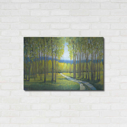 Luxe Metal Art 'Morning Stroll I' by Tim O'Toole, Metal Wall Art,36x24