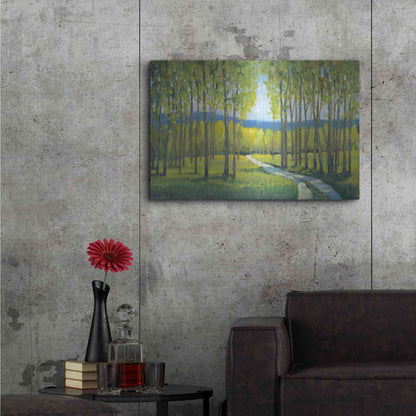 Luxe Metal Art 'Morning Stroll I' by Tim O'Toole, Metal Wall Art,36x24