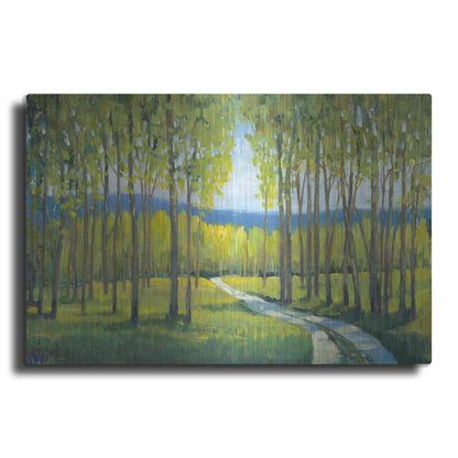 Luxe Metal Art 'Morning Stroll I' by Tim O'Toole, Metal Wall Art