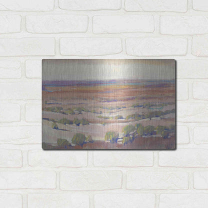 Luxe Metal Art 'High Desert Pastels I' by Tim O'Toole, Metal Wall Art,16x12