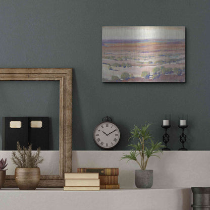 Luxe Metal Art 'High Desert Pastels I' by Tim O'Toole, Metal Wall Art,16x12