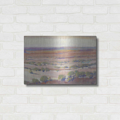 Luxe Metal Art 'High Desert Pastels I' by Tim O'Toole, Metal Wall Art,24x16