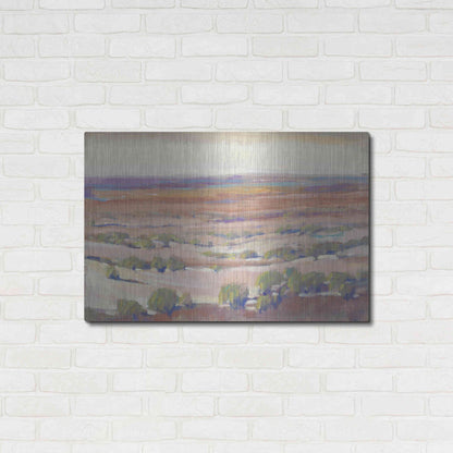 Luxe Metal Art 'High Desert Pastels I' by Tim O'Toole, Metal Wall Art,36x24