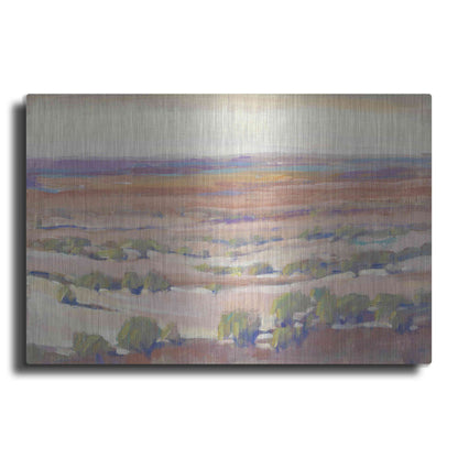 Luxe Metal Art 'High Desert Pastels I' by Tim O'Toole, Metal Wall Art