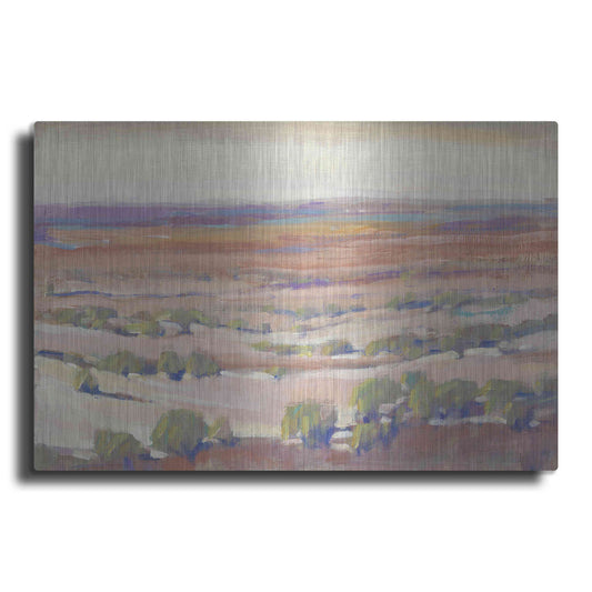 Luxe Metal Art 'High Desert Pastels I' by Tim O'Toole, Metal Wall Art